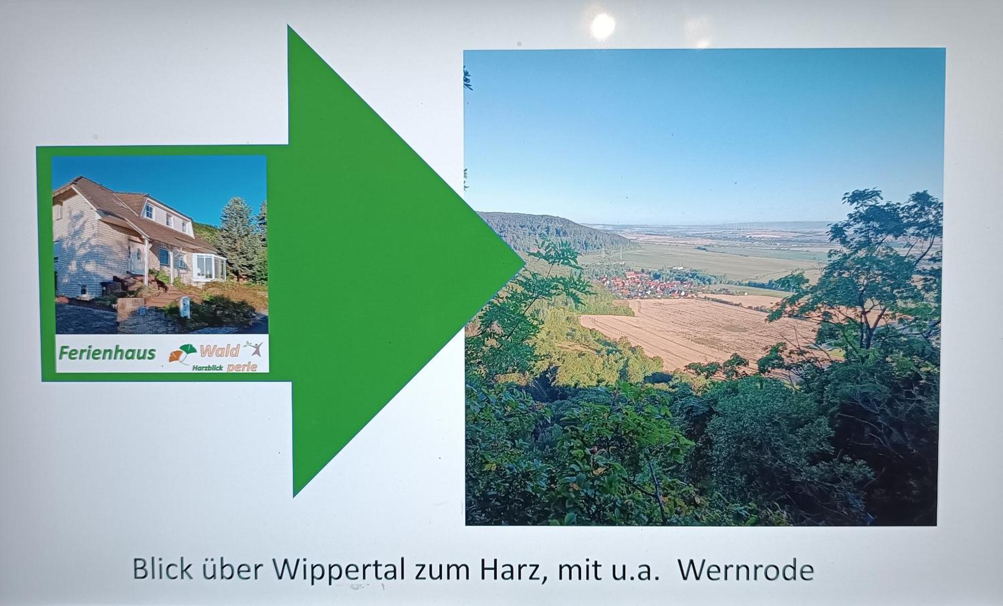 Ferienhaus Waldperle Harzblick Wernrode Kültér fotó