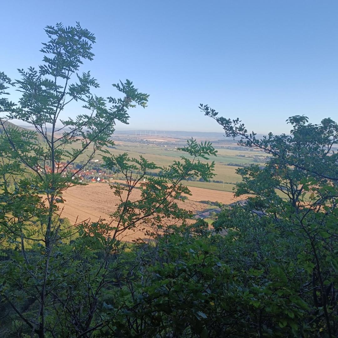 Ferienhaus Waldperle Harzblick Wernrode Kültér fotó